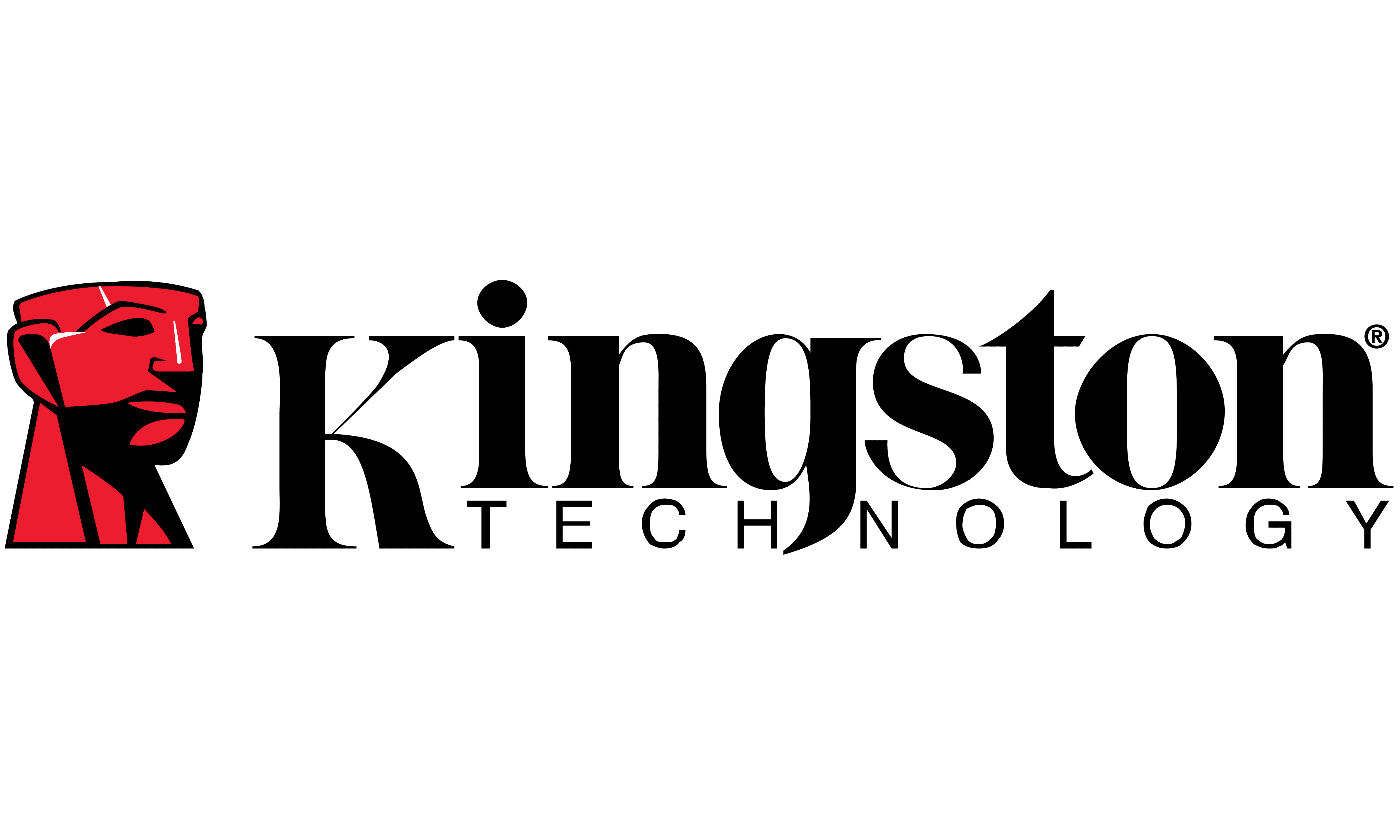 logo-Kingston